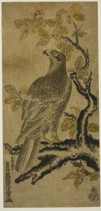 Framed Print : A Hawk on a Kiri Tree, c. 1720 / 25. Creator: Okumura Masanobu Framed Print : A Hawk on a Kiri Tree, c. 1720 / 25. Creator: Okumura Masanobu