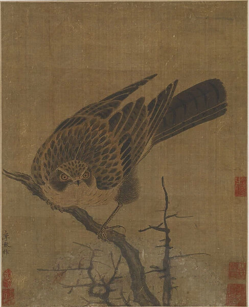 Hawk on a leafless branch, Possibly Yuan dynasty, 1279-1368. Creator: Unknown