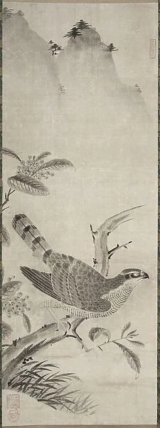 Hawk, mid 1500s. Creator: Masayoshi Fujiwara (Japanese)