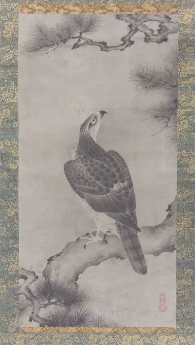 Framed Print : Hawk on a Pine (Shoo zu), 16th century. Creator: Kano Yukinobu Framed Print : Hawk on a Pine (Shoo zu), 16th century. Creator: Kano Yukinobu