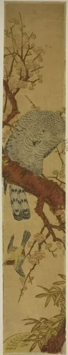 Framed Print : Hawk on Plum Branch Looking Down at Fleeing Bird, c. 1775. Creator: Isoda Koryusai Framed Print : Hawk on Plum Branch Looking Down at Fleeing Bird, c. 1775. Creator: Isoda Koryusai