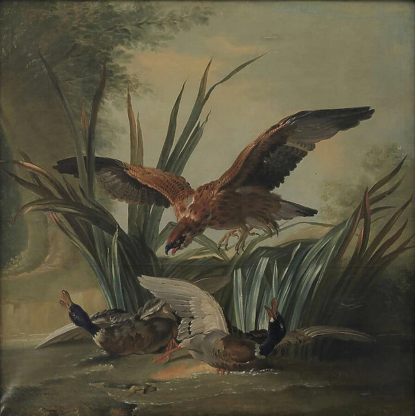 A Hawk Pouncing on a Pair of Ducks, 1701-1755. Creator: Unknown