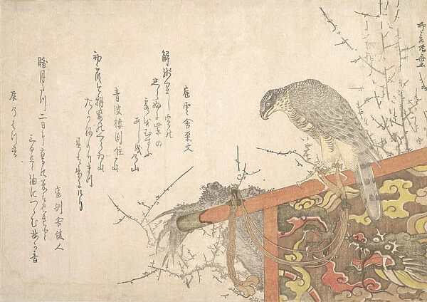 Hawk Tied to Perch. Creator: Shinsai
