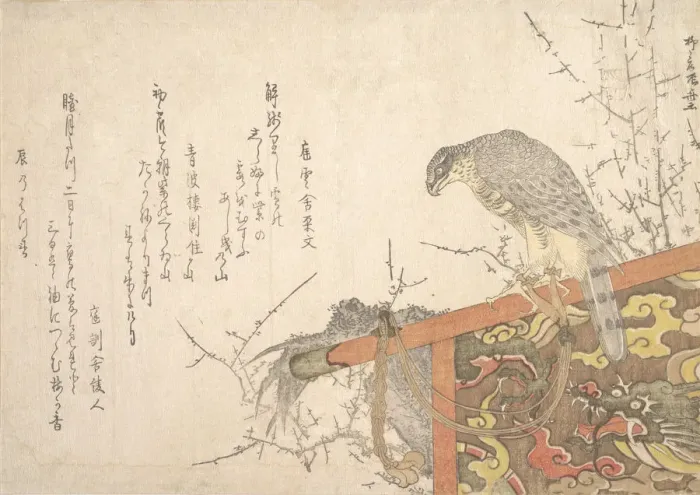 Framed Print : Hawk Tied to Perch. Creator: Shinsai Framed Print : Hawk Tied to Perch. Creator: Shinsai