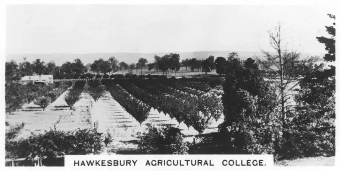 Framed Print : Hawkesbury Agricultural College, New South Wales, Australia, 1928 Framed Print : Hawkesbury Agricultural College, New South Wales, Australia, 1928