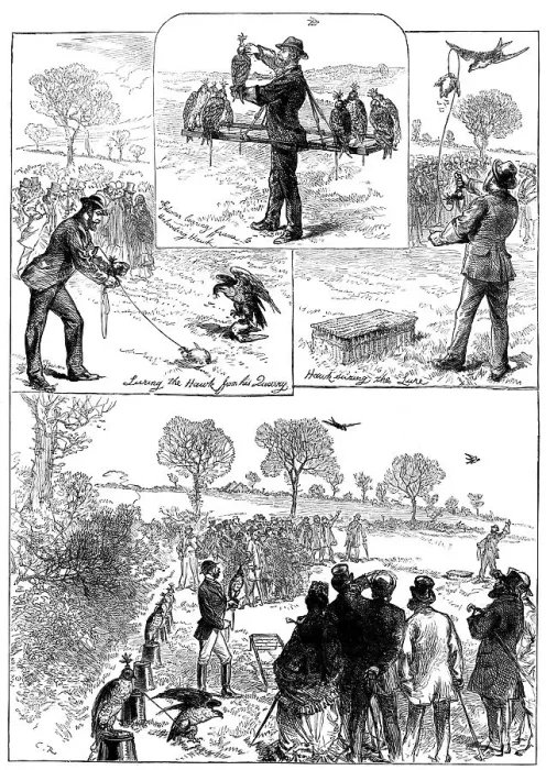 Framed Print : Hawking at Hendon, 1871. Creator: Unknown Framed Print : Hawking at Hendon, 1871. Creator: Unknown