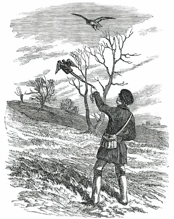 Framed Print : Hawking - the Lure, 1850. Creator: Unknown Framed Print : Hawking - the Lure, 1850. Creator: Unknown