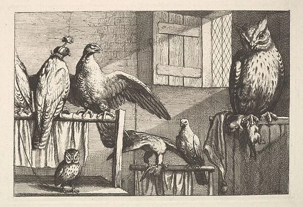 Hawks and owls, 1625-77. Creator: Wenceslaus Hollar