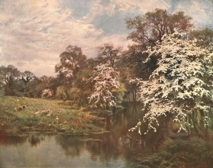 Framed Print : Hawthorn Blossoms, c1899, (c1902). Creator: Unknown Framed Print : Hawthorn Blossoms, c1899, (c1902). Creator: Unknown
