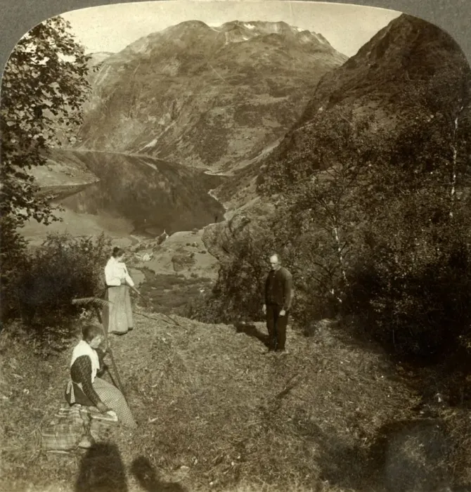 Framed Print : Haying on mountain shelf high above Marok village and mirror-clear Geirangerfjord Framed Print : Haying on mountain shelf high above Marok village and mirror-clear Geirangerfjord