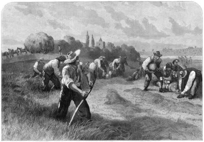 Framed Print : Haymaker, 1875. Artist: W Hollidge Framed Print : Haymaker, 1875. Artist: W Hollidge