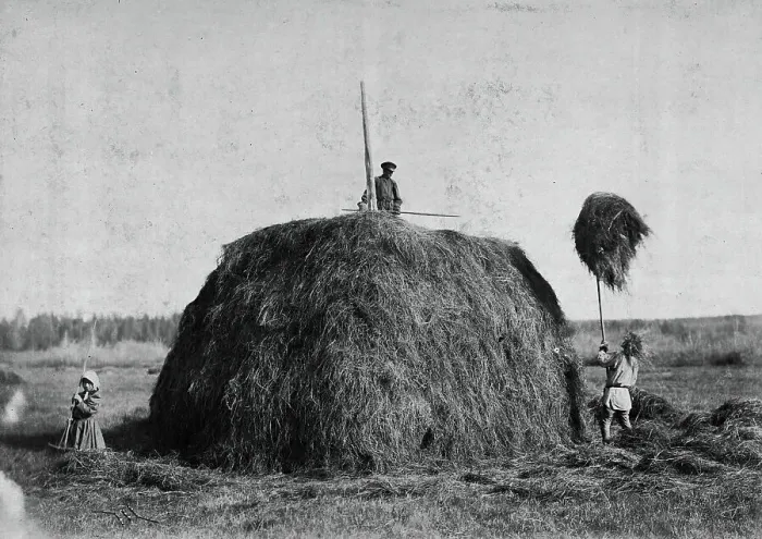 Framed Print : Haymaking, late 19th cent - early 20th cent. Creator: I Popov Framed Print : Haymaking, late 19th cent - early 20th cent. Creator: I Popov