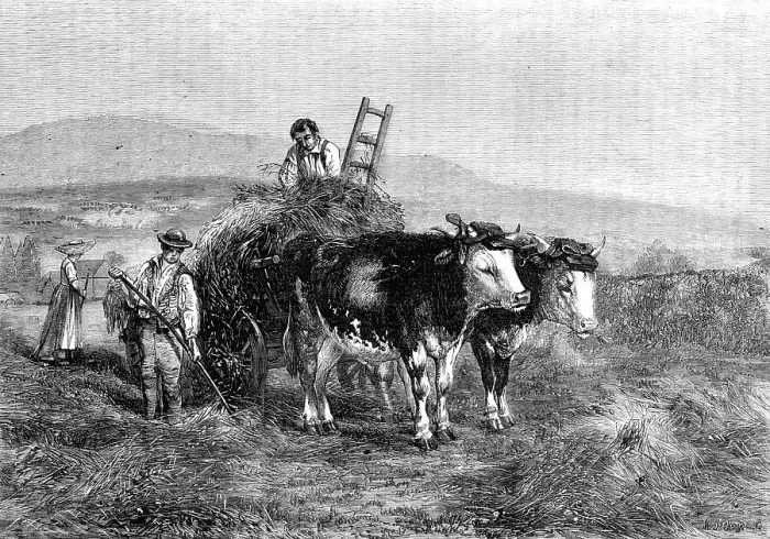 Framed Print : Haymaking in Switzerland - painted by H. Moore, from the Exhibition of the National... 1857. Creator: M. Jackson. Haymaking in Switzerland - painted by H. Moore, from the Exhibition of the National... 1857. Creator: M. Jackson