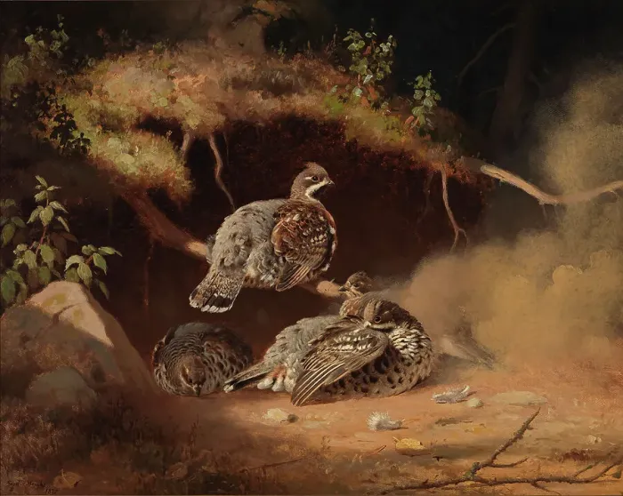Framed Print : Hazel Grouse Wallowing in Sand, 1877. Creator: Ferdinand von Wright Framed Print : Hazel Grouse Wallowing in Sand, 1877. Creator: Ferdinand von Wright