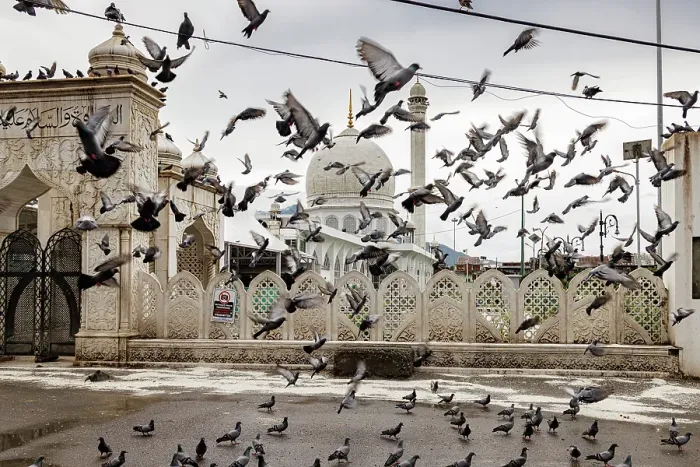 Framed Print : Hazratbal Shrine, Srinagar, Kashmir, India, 2023. Creator: Peter Thompson Framed Print : Hazratbal Shrine, Srinagar, Kashmir, India, 2023. Creator: Peter Thompson