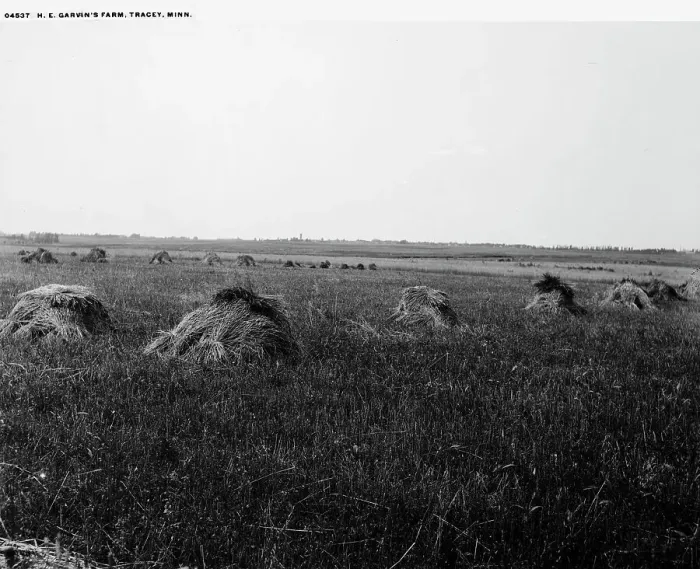 Framed Print : H.E. Garvin's farm, Tracey [sic], Minn. between 1880 and 1899. Creator: Unknown