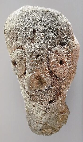 Head, 2920 B.C.. Creator: Unknown