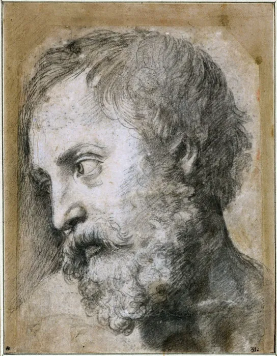 Framed Print : Head of An Apostle (Study for Transfiguration), 1519-1520. Artist: Raphael (1483-1520) Framed Print : Head of An Apostle (Study for Transfiguration), 1519-1520. Artist: Raphael (1483-1520)