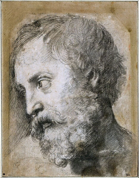 Head of An Apostle (Study for Transfiguration), 1519-1520. Artist: Raphael (1483-1520)