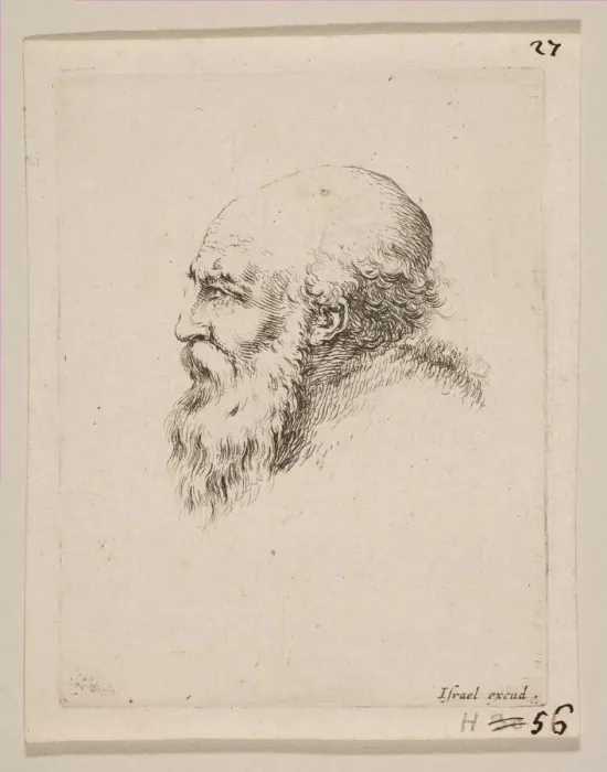 Framed Print : Head of a Bald and Bearded Old Man in Profile, from Various heads and figures Framed Print : Head of a Bald and Bearded Old Man in Profile, from Various heads and figures