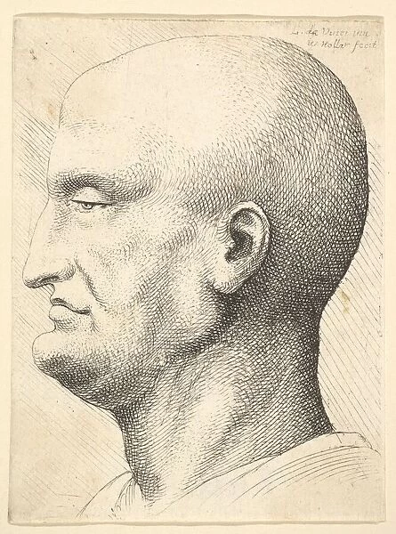 Head of a bald man in profile to left, 1644-52. Creator: Wenceslaus Hollar