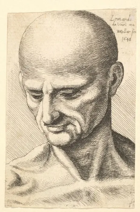 Framed Print : Head of a bald, sinewy man looking downwards, 1648. Creator: Wenceslaus Hollar Framed Print : Head of a bald, sinewy man looking downwards, 1648. Creator: Wenceslaus Hollar