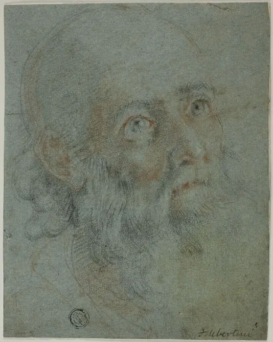 Framed Print : Head of a Bearded Man, Looking Up to Right: Study for Saint Catherine of Alexandria... c.1603. Creator: Ludovico Cardi Framed Print : Head of a Bearded Man, Looking Up to Right: Study for Saint Catherine of Alexandria... c.1603. Creator: Ludovico Cardi