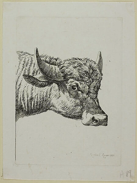 Head of a Buffalo, from Die Zweite Thierfolge, 1800. Creator: Johann Christian Reinhart