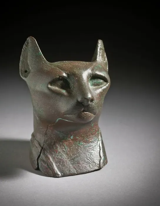 Framed Print : Head of a Cat, 712-332 B.C.. Creator: Unknown