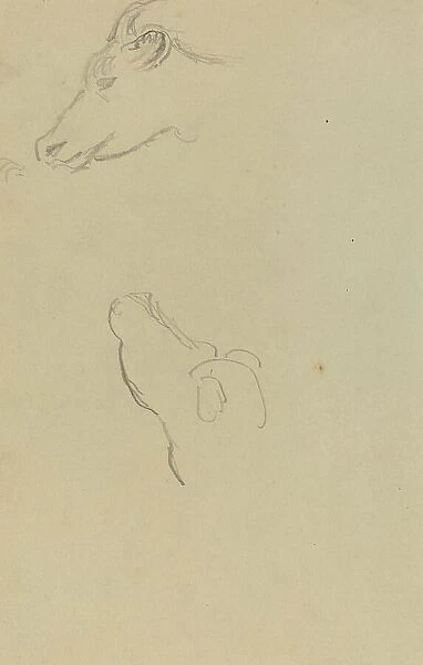 Head of a Cow [recto], 1884-1888. Creator: Paul Gauguin