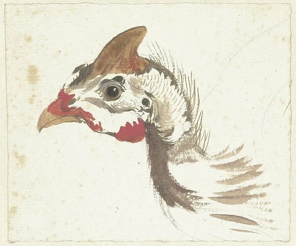 Head of a Helmeted Guineafowl, 1720-1792. Creator: Aert Schouman