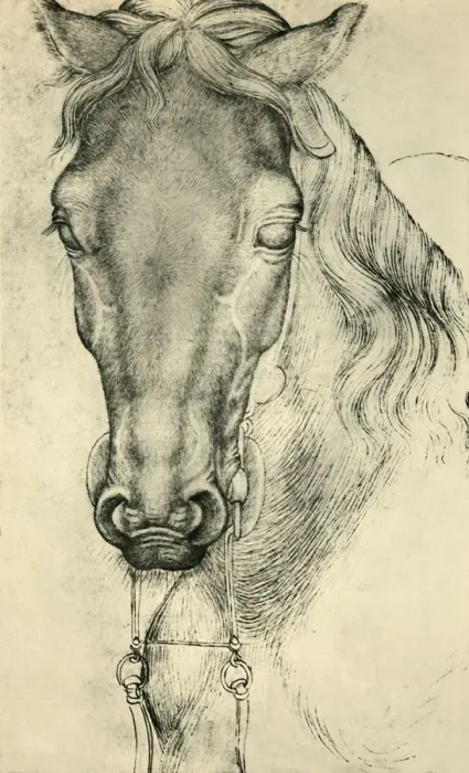 Framed Print : Head of a horse, c1420-1455, (1943). Creator: Pisanello Framed Print : Head of a horse, c1420-1455, (1943). Creator: Pisanello