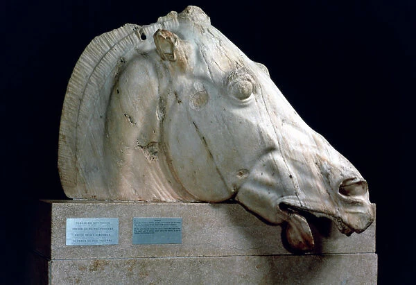 Head of a horse from the Chariot of Selene from the east pediment of the Parthenon, 447-432 BC