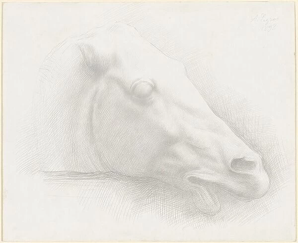 Head of a Horse from the Parthenon, 1898. Creator: Alphonse Legros