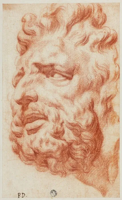 Framed Print : Head of Laocoon, n.d. Creator: Pietro Dandini Framed Print : Head of Laocoon, n.d. Creator: Pietro Dandini