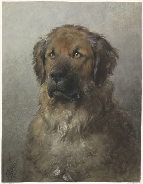Framed Print : Head of a Leonberger, c.1880-c.1892. Creator: Otto Eerelman Framed Print : Head of a Leonberger, c.1880-c.1892. Creator: Otto Eerelman