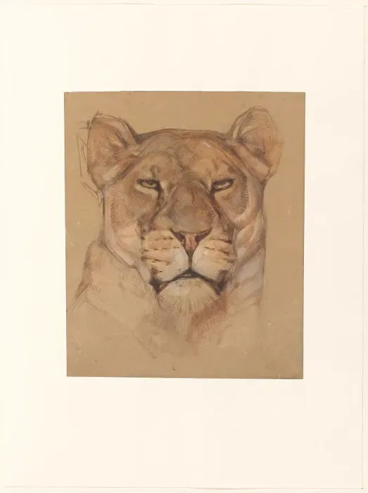 Framed Print : Head of a lioness, 1866-1939. Creator: Bernard Willem Wierink Framed Print : Head of a lioness, 1866-1939. Creator: Bernard Willem Wierink