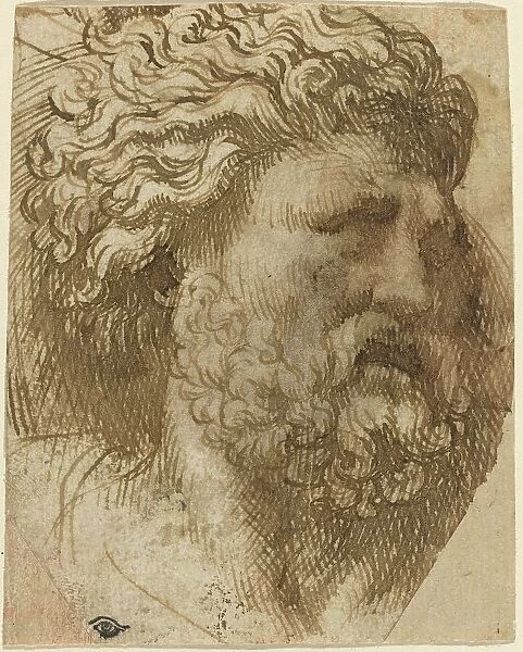 Head of a Man. Creator: Domenico Campagnola