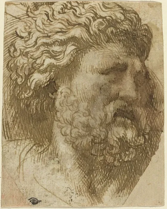 Framed Print : Head of a Man. Creator: Domenico Campagnola Framed Print : Head of a Man. Creator: Domenico Campagnola
