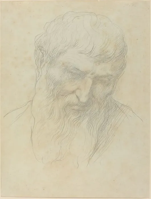 Framed Print : Head of a Man with Curly Hair and Beard. Creator: Alphonse Legros Framed Print : Head of a Man with Curly Hair and Beard. Creator: Alphonse Legros