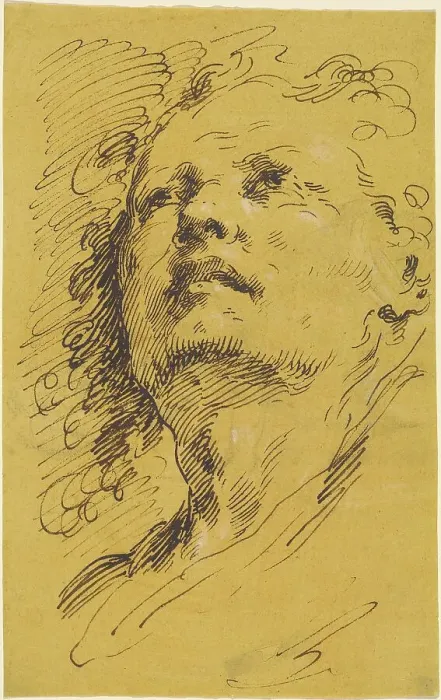 Framed Print : Head of a Man Looking Up, 1770s. Creator: Pietro Antonio Novelli Framed Print : Head of a Man Looking Up, 1770s. Creator: Pietro Antonio Novelli