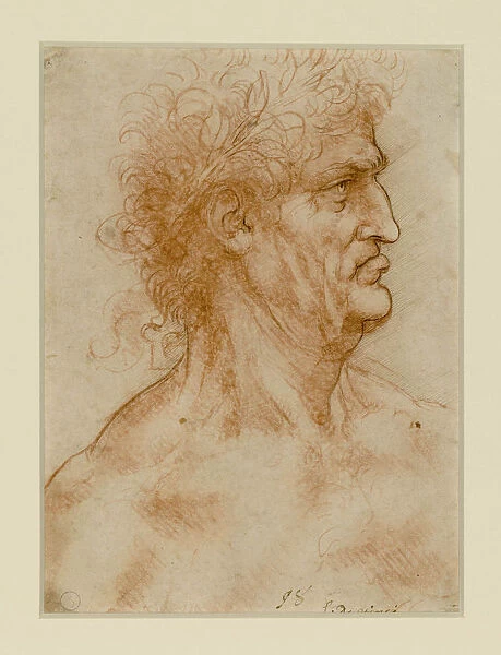 Head Of A Man In Profile Crowned With Laurel