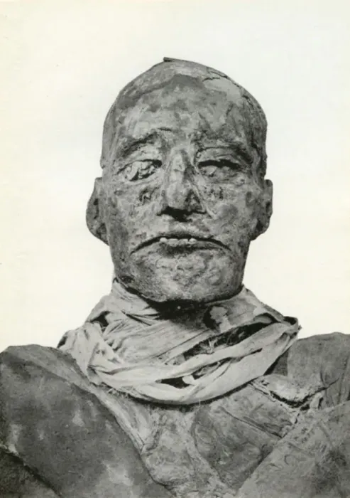 Framed Print : Head of the mummy of Rameses III, Ancient Egyptian pharaoh of the 20th Dynasty, c1156 BC (1926). Artist: Winifred Mabel Brunton Framed Print : Head of the mummy of Rameses III, Ancient Egyptian pharaoh of the 20th Dynasty, c1156 BC (1926). Artist: Winifred Mabel Brunton