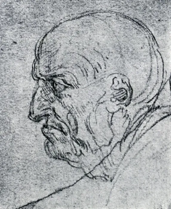 Framed Print : Head of an Old Man, 1913. Artist: Leonardo da Vinci Framed Print : Head of an Old Man, 1913. Artist: Leonardo da Vinci
