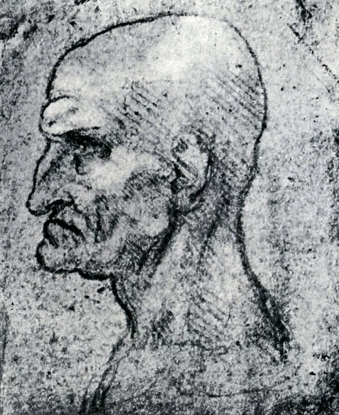 Head of an Old Man, 1913. Artist: Leonardo da Vinci