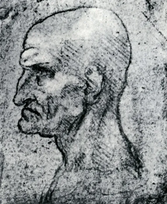 Framed Print : Head of an Old Man, 1913. Artist: Leonardo da Vinci Framed Print : Head of an Old Man, 1913. Artist: Leonardo da Vinci