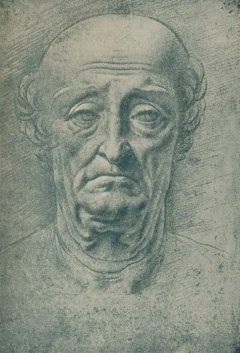 Framed Print : Head of an Old Man, c15th century, (1932). Artist: Leonardo da Vinci Framed Print : Head of an Old Man, c15th century, (1932). Artist: Leonardo da Vinci
