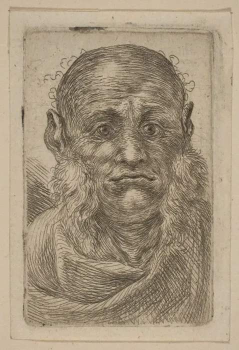 Framed Print : Head of Old Man. Creator: Attributed to Stefano della Bella (Italian Framed Print : Head of Old Man. Creator: Attributed to Stefano della Bella (Italian