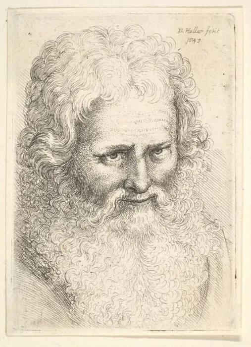 Framed Print : Head of an old man with a large beard, 1645. Creator: Wenceslaus Hollar Framed Print : Head of an old man with a large beard, 1645. Creator: Wenceslaus Hollar
