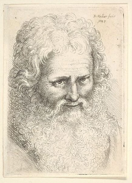 Head of an old man with a large beard, 1645. Creator: Wenceslaus Hollar